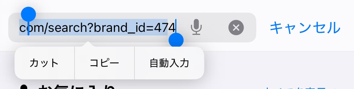 URLにbrand_id=474が表示されている画面